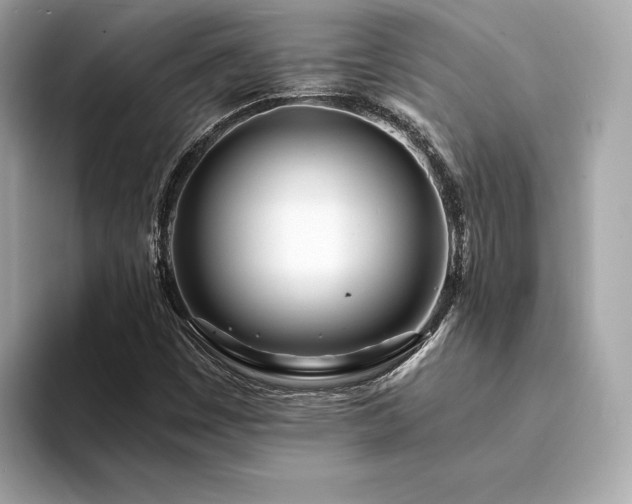 X0000094201449200710261142