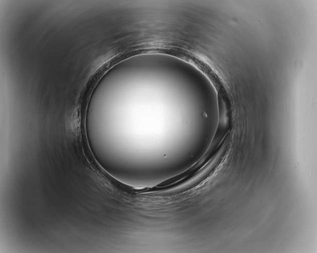 X0000094201450200710261142