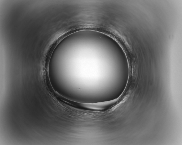 X0000094201453200710261142