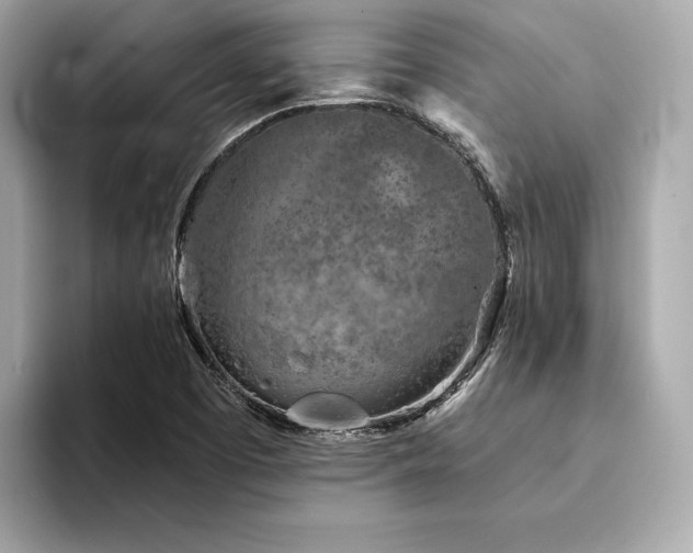 X0000094201457200710261142
