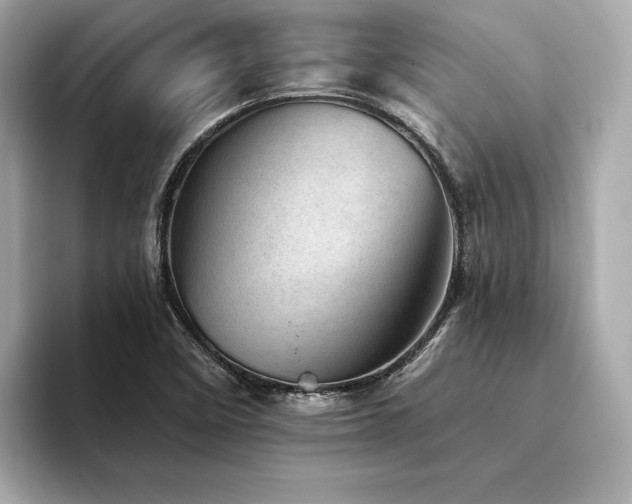 X0000094201458200710261142