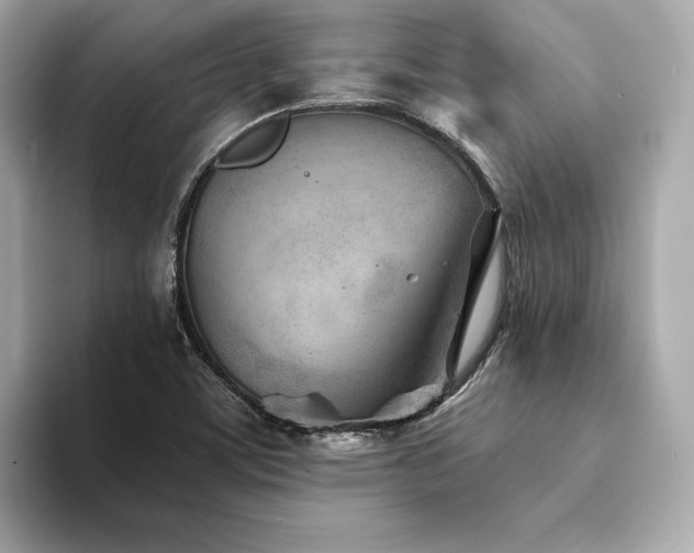 X0000094201459200710261142