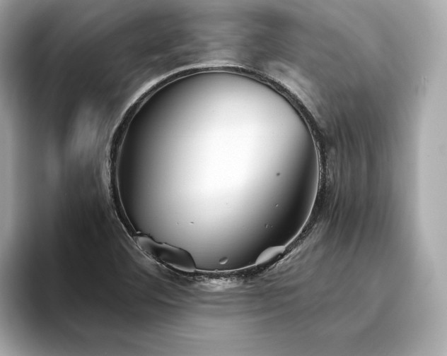 X0000094201460200710261142