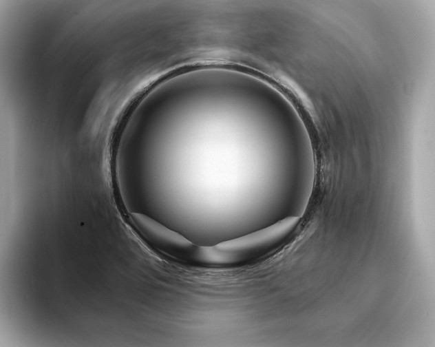 X0000094201464200710261142