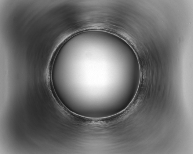 X0000094201466200710261142