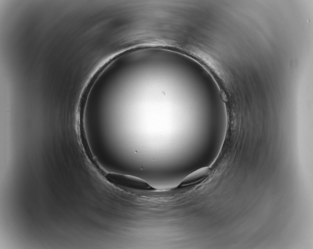 X0000094201468200710261142