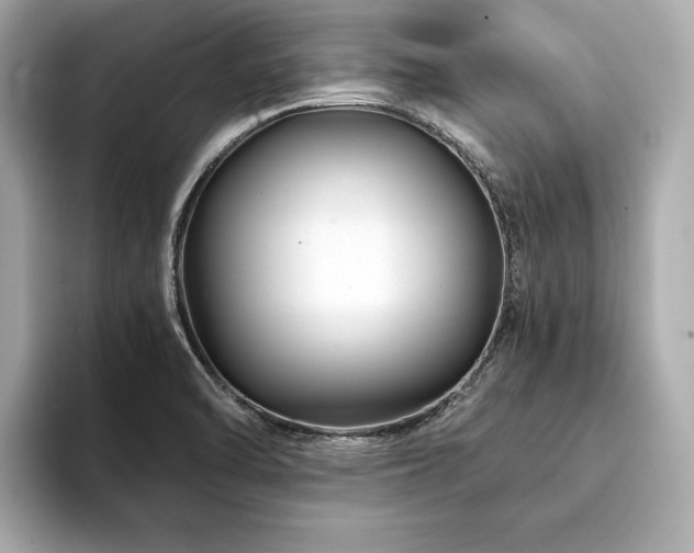 X0000094201470200710261142