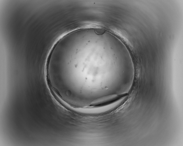 X0000094201471200710261142