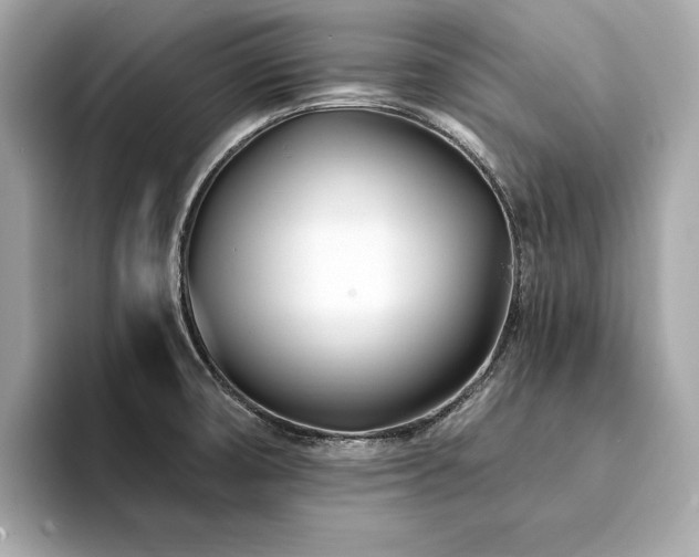 X0000094201474200710261142
