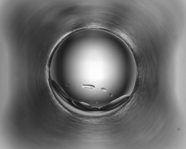 X0000094201476200710261142