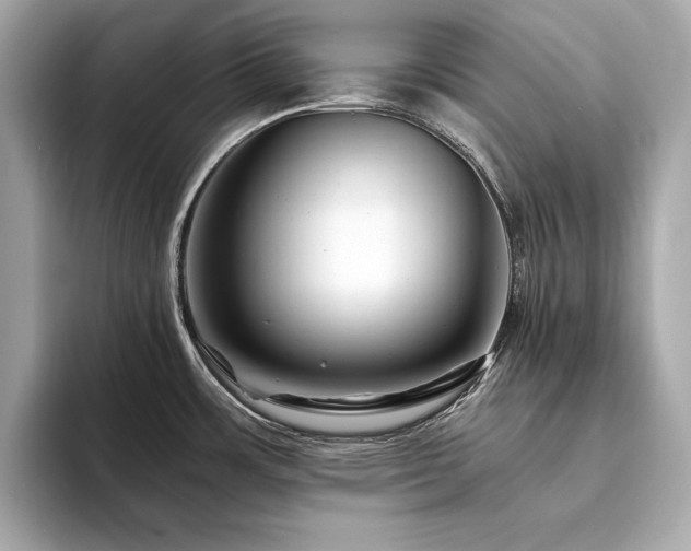 X0000094201483200710261142