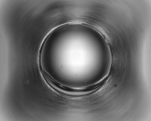 X0000094201484200710261142