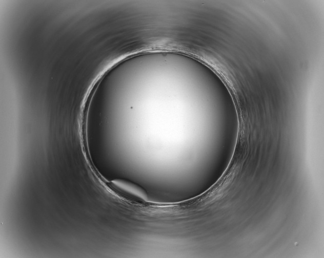 X0000094201486200710261142