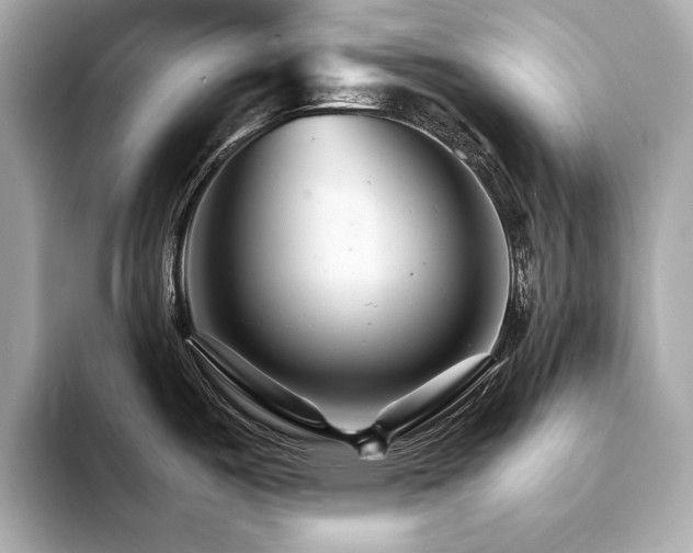 X0000094201487200710261142