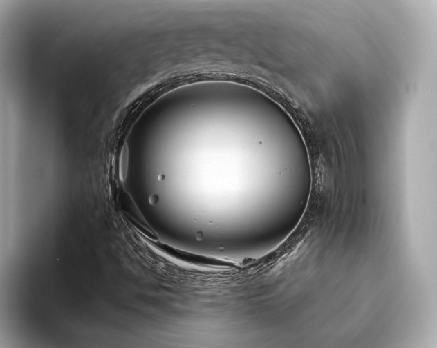 X0000094201494200710261141