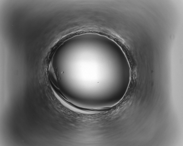 X0000094201496200710261141