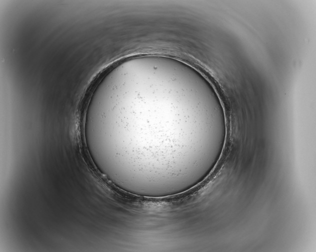 X0000094201498200710261141