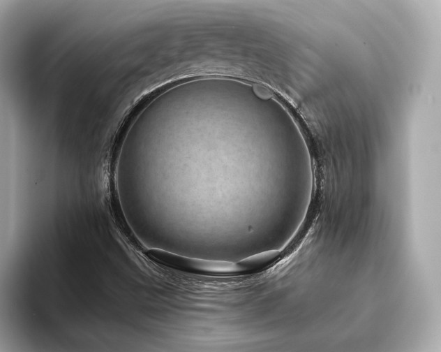 X0000094201499200710261141