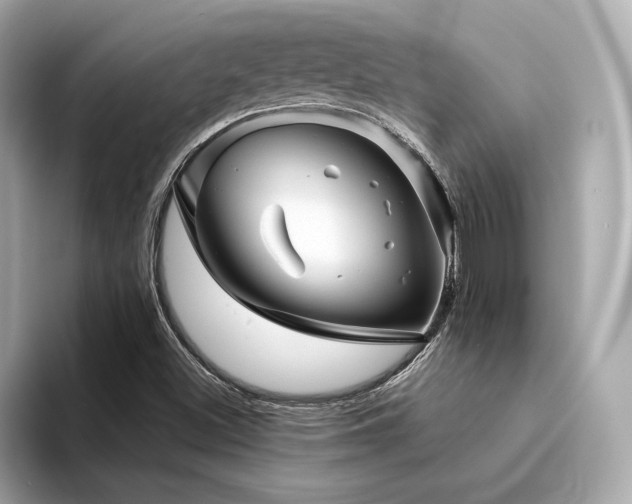 X0000094201500200710261141