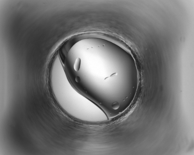 X0000094201502200710261141