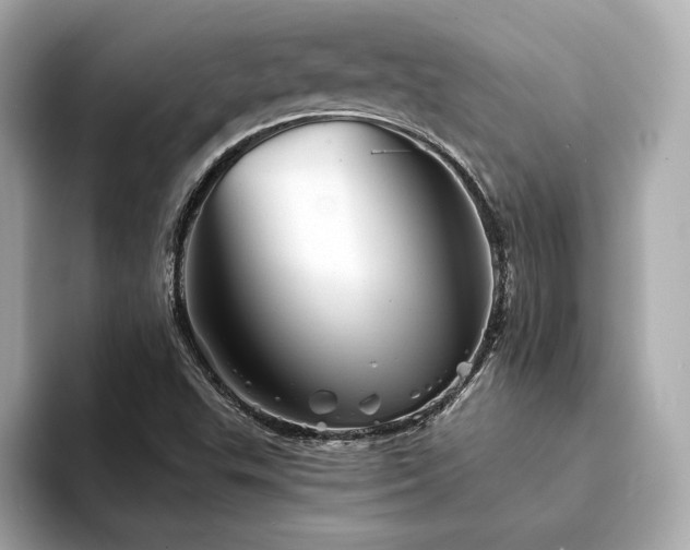 X0000094201503200710261141