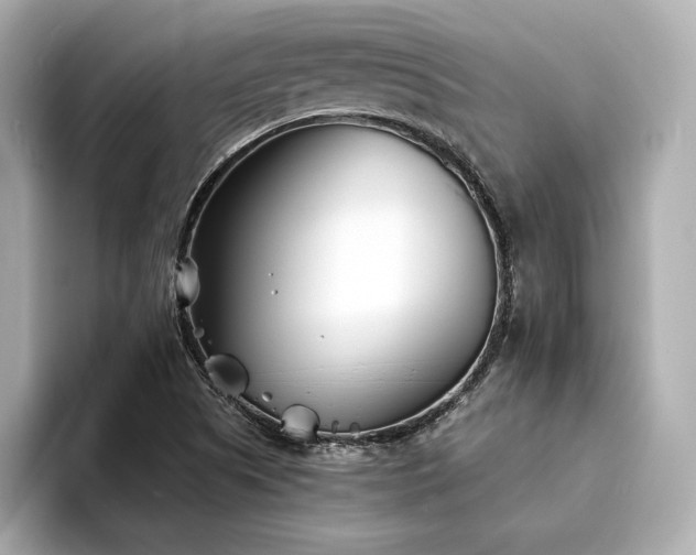 X0000094201505200710261141