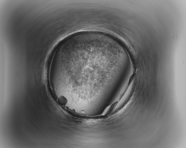 X0000094201506200710261141
