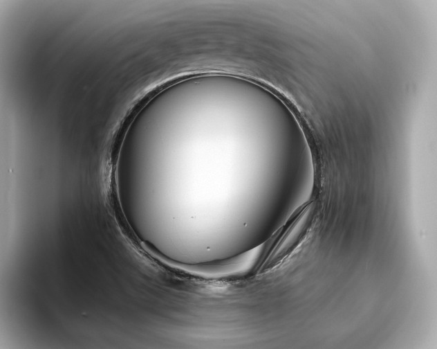 X0000094201507200710261141