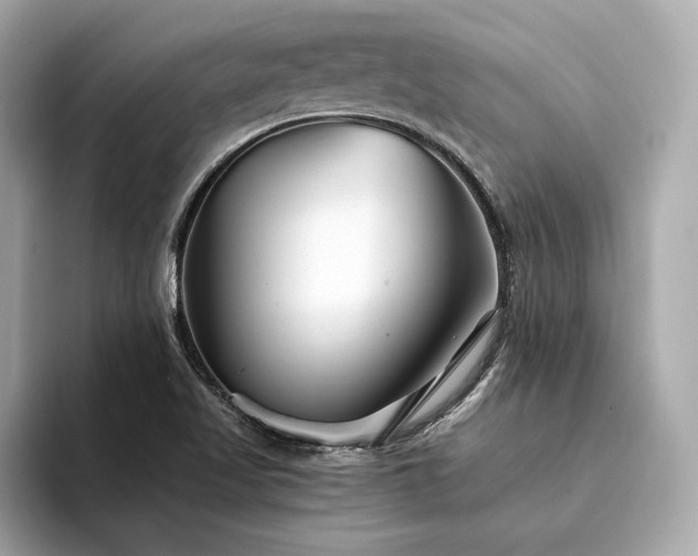 X0000094201509200710261141