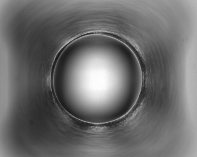 X0000094201513200710261141