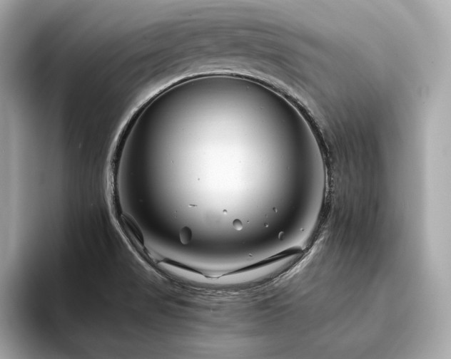 X0000094201517200710261141