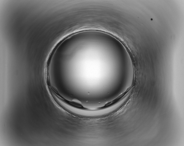 X0000094201519200710261141