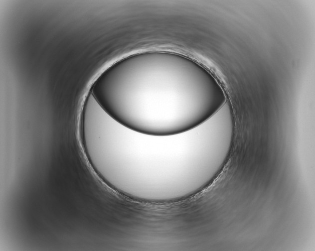 X0000094201520200710261141