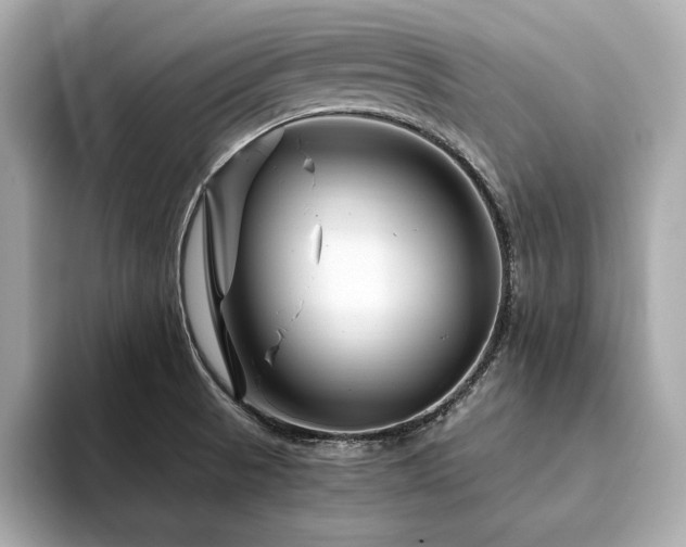X0000094201521200710261141