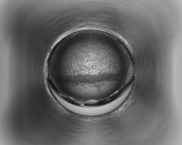 X0000094201522200710261141