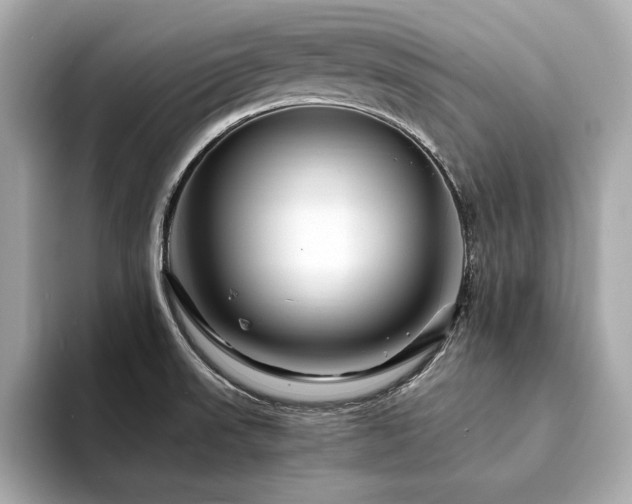 X0000094201523200710261141