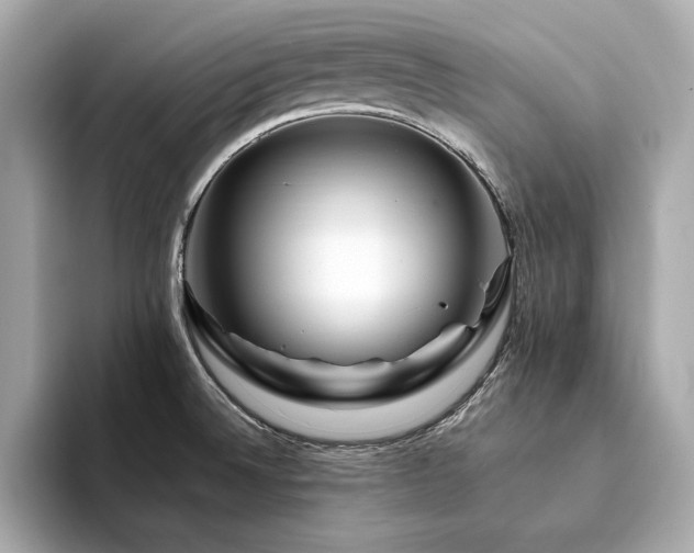 X0000094201524200710261141