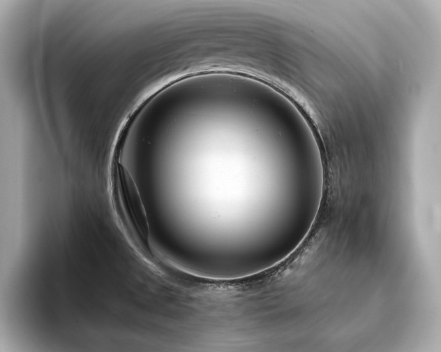 X0000094201525200710261141