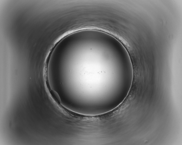 X0000094201526200710261141