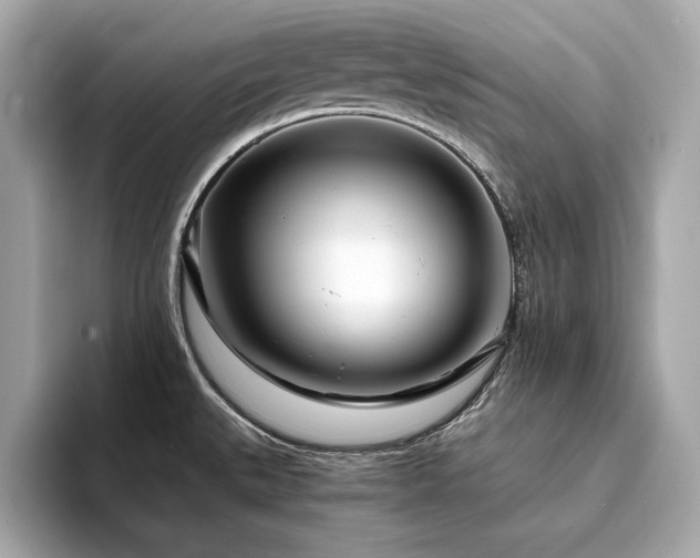 X0000094201527200710261141