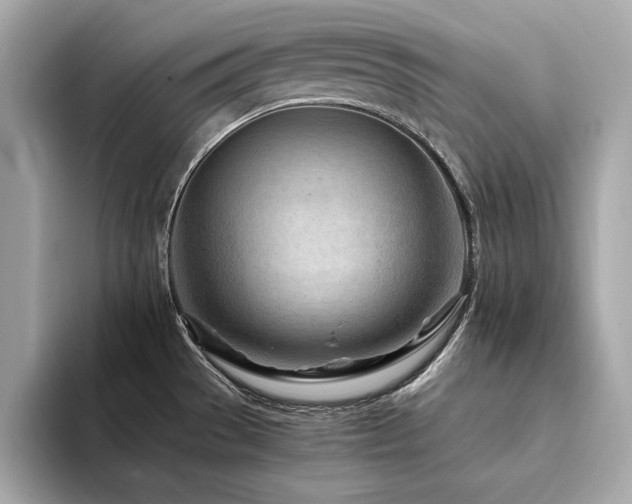 X0000094201529200710261141