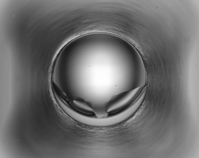 X0000094201530200710261141