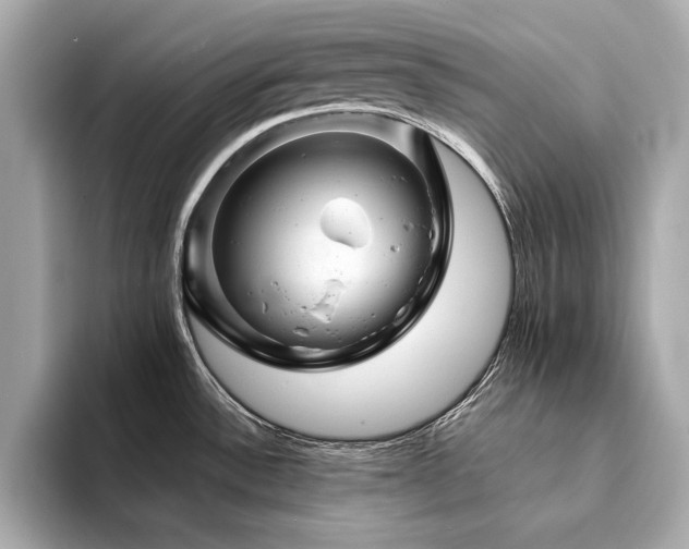 X0000094201532200710261142