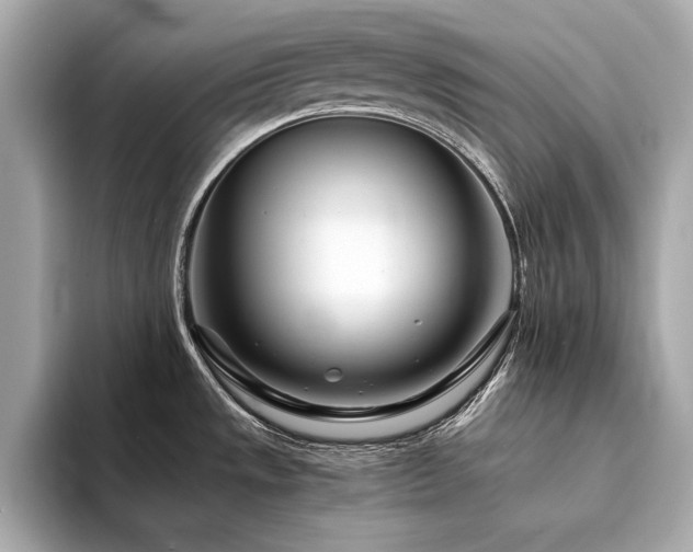X0000094201533200710261142