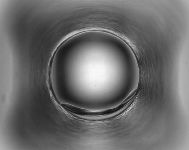X0000094201534200710261142