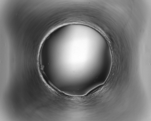 X0000094201536200710261142
