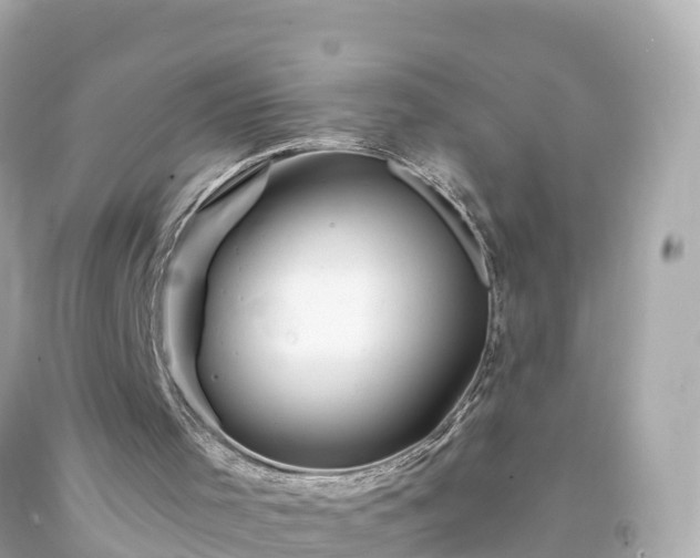 X0000094200001200711021103