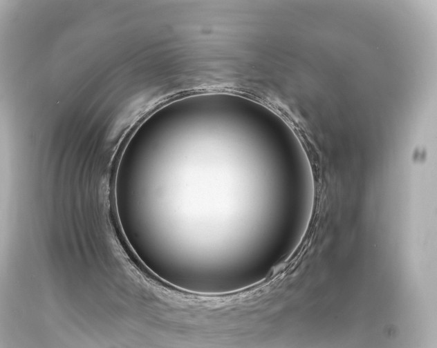 X0000094200002200711021103