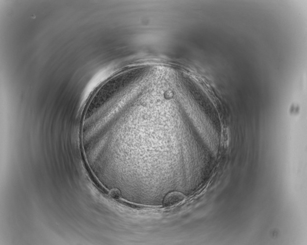 X0000094200004200711021103