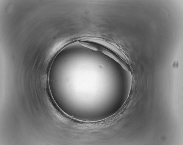 X0000094200005200711021103